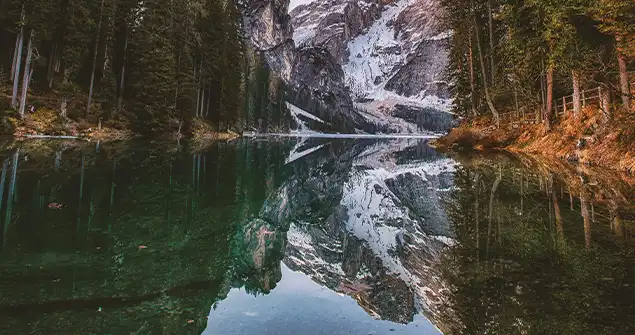 recent-project-img-3